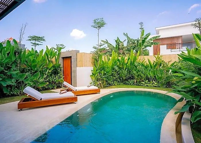Paradise Living